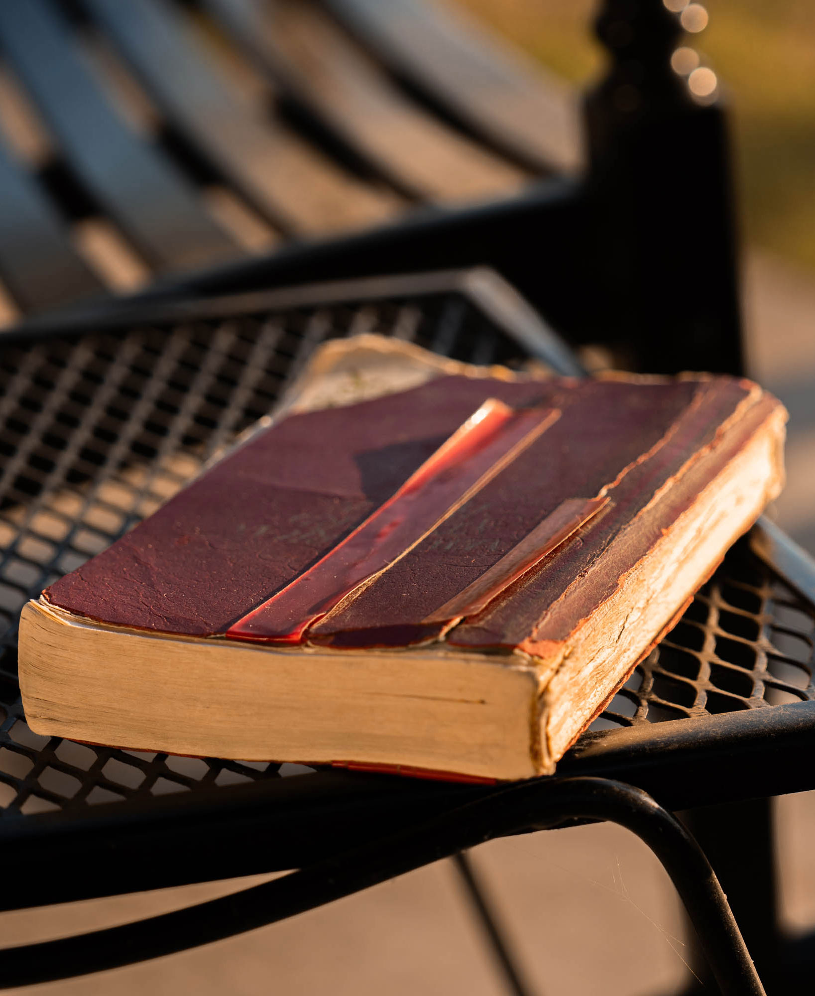 Sharon's well-worn Bible