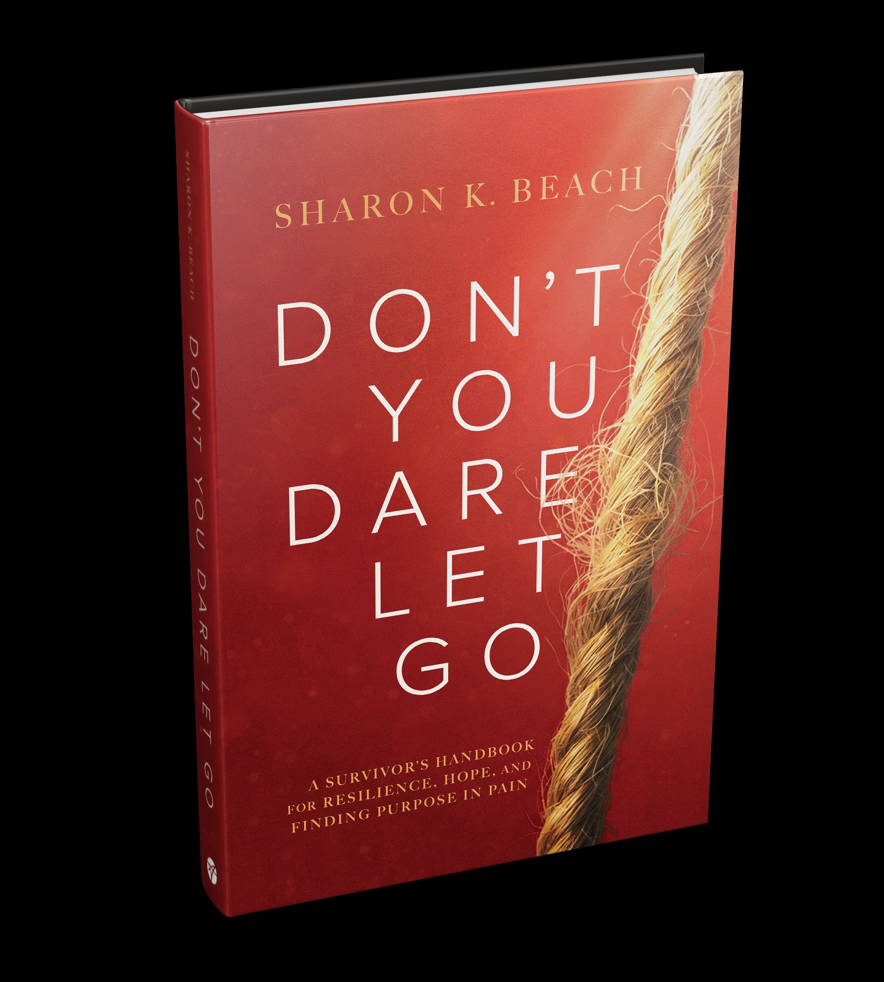 Don't You Dare Let Go — book cover
